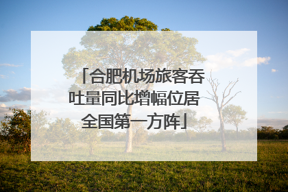 合肥机场旅客吞吐量同比增幅位居全国第一方阵